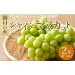 ふるさと納税 シャインマスカット 2房（1房約700g） ｜  シャインマスカット 岡山県岡山市