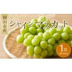ふるさと納税 シャインマスカット 1房 約700g ｜  シャインマスカット 岡山県岡山市