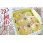 ふるさと納税 固めの 桃 2025年 先行予約 ご家庭用 岡山 の 桃 晩生種 約2kg(5〜9玉)(黄金桃の場合もあります) もも モモ 岡山県 岡山市産 .. 岡山県岡山市