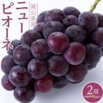 ぶどう 2026年 ニュー ピオーネ 2房 合計約940g