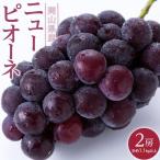 ぶどう 2026年 ニュー ピオーネ 2房 合計約1.1kg