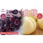 ふるさと納税 桃 ぶどう 2026年  白桃 2玉（1玉200g以上） ニュー ピオーネ 2房（合計約940g）詰合せ もも 葡萄 岡山県産 国産 フルーツ 果物 ギ.. 岡山県岡山市