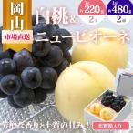 2027年 果物 詰合せ 白桃 2玉