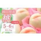 ふるさと納税 桃 2025年 先行予約 ご家庭用 おかやまの桃 約1.3kg (5〜6玉) もも モモ 岡山県産 国産 フルーツ 果物 岡山県岡山市