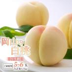 2027年 ご 白桃 早生種 5~6玉 合計約1.3kg