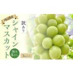 ふるさと納税 ぶどう 2026年 家庭用　岡山県産 訳あり シャインマスカット 1kg以上 摘み落とし＜9月以降発送＞｜  シャインマスカット 岡山県岡山市
