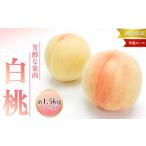 ふるさと納税 桃 2026年 先行予約 白桃 等級 エース 約1.5kg 5〜7玉入り もも モモ 岡山 国産 フルーツ 果物 桃茂実苑 岡山県岡山市