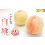 ふるさと納税 桃 2026年 先行予約 白桃 2kg 6〜8玉 もも モモ 岡山 国産 フルーツ 果物 ギフト 桃茂実苑 岡山県岡山市