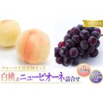 ふるさと納税 桃 ぶどう 2026年 先行予約 白桃 5玉 合計約1.5kg （1玉 約300g） ニュー ピオーネ 1房 550g もも 葡萄 詰合せ 岡山 国産 フルーツ.. 岡山県岡山市