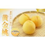 ふるさと納税 桃 2026年 先行予約 黄金桃 3玉 合計約900g （1玉約300g） もも モモ 岡山 国産 フルーツ 果物 ギフト 桃茂実苑 岡山県岡山市