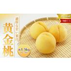 ふるさと納税 桃 2026年 先行予約 黄金桃 等級 エース 約1.5kg 5〜7玉入り もも モモ 岡山 国産 フルーツ 果物 桃茂実苑 岡山県岡山市