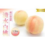 ふるさと納税 桃 2026年 先行予約 清水 白桃 1.5kg 5〜6玉 もも モモ 岡山 国産 フルーツ 果物 ギフト 桃茂実苑 岡山県岡山市