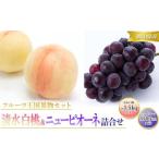 ふるさと納税 桃 ぶどう 2026年 先行予約 清水 白桃 5玉 約1.5kg 1玉約300g ニュー ピオーネ 1房 550g以上もも 葡萄 詰合せ 岡山 国産 フルーツ .. 岡山県岡山市