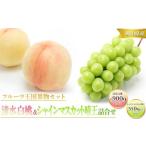 ふるさと納税 桃 ぶどう 2026年 先行予約 清水 白桃 3玉合計 約900g （1玉約300g） シャインマスカット 晴王 1房 550g以上 | フルーツ 果物 くだ.. 岡山県岡山市