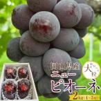 ぶどう 2027年 大粒 ニューピオーネ 2kg