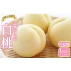 ふるさと納税 桃 2026年  岡山県産 家庭用 白桃 1kg以上（4〜6玉） 品種おまかせ＜6月下旬以降発送＞ 岡山県岡山市