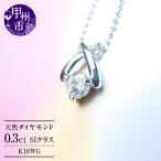 ネックレス 天然 ダイヤ 一粒 SIクラス n-01