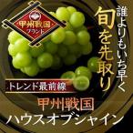 2027年発送先行受付 最高糖度20度オーバー