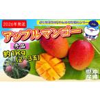 ふるさと納税 2026年発送　道の駅許田の秀品アップルマンゴー　約1kg 完熟 マンゴー アップル 南国 沖縄 フルーツ くだもの 果物 果実 先行予約 .. 沖縄県名護市