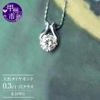 アクセサリー ネックレス 天然 ダイヤ 一粒
