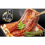 ショッピングうなぎ 父の日 ふるさと納税 国産 うなぎ 蒲焼き 境町秘伝のタレ 4度焼きあげ 2尾 計300g以上 簡易包装 タレ 山椒 付き 鰻 うなぎ ウナギ 父の日 丑の日 土用の丑.. 茨城県境町