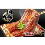 ふるさと納税 国産 うなぎ 蒲焼き 8尾 1,200g以上 うなぎ K2393 茨城県境町