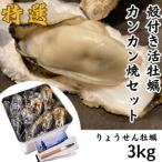 ふるさと納税 多度津白方 殻付活牡蠣カンカン焼セット3kg(加熱用)(予約受付中:旬にお届け!2025年12月中旬頃から期間限定出荷!)【H-1】 香川県多度津町