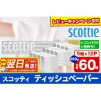 ショッピングティッシュペーパー ふるさと納税 ティッシュペーパー スコッティ 200組 60箱(5箱×12パック) ティッシュ レビューキャンペーン中 日用品 7日以内発送 秋田県秋田市