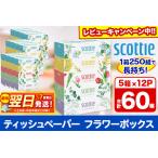 ふるさと納税 ティッシュペーパー スコッティ フラワーボックス250組 60箱(5箱×12パック) ティッシュ  日用品 まとめ買い 必需品 備蓄 7日.. 秋田県秋田市