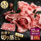 牛肉 バラ カルビ 12回定期便 佐賀牛 切り落とし 400g