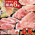 豚肉6種\てげスゲーセット 合計4.5kg