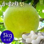 ショッピングふるさと納税 梨 ふるさと納税 【かおり3kg】かまがや育ちの完熟梨（梨業組合） 千葉県鎌ケ谷市