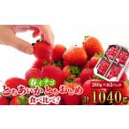 ふるさと納税 いちご生産量日本一栃木産　春イチゴ『とちおとめ』『とちあいか』 (260g×4パック)食べ比べセット_いちご 苺 とちおとめ とち.. 栃木県佐野市