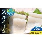 スルメイカ 3尾