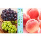 ふるさと納税 【全3回】フルーツ定期便「丸亀市夏のいいとこどり定期便」〜少人数〜 フルーツフルーツフルーツフルーツ 定期便定期便 香川県丸亀市