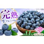 ブルーベリー 生ブルーベリー110g×10