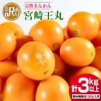 訳あり 完熟 きんかん 宮崎王丸 計3kg以上