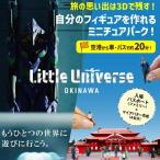 Little Universe 入場パスポート