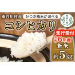 お好みに合わせて精米 令和6年産 コシヒカリ 5kg