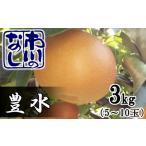 ショッピングふるさと納税 梨 ふるさと納税 市川の梨　豊水　3kg（5〜8個入り）　【12203-0124】 千葉県市川市