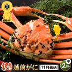 越前蟹 訳あり 茹で 越前ズワイガニ 中 2杯