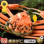 越前蟹 訳あり 茹で 越前ズワイガニ 中 3杯