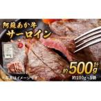 ふるさと納税 ステーキ 阿蘇あか牛サーロイン 約500g サーロインステーキ ステーキ肉 ヘルシーステーキ 牛肉ステーキ 熊本県宇城市