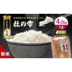 ふるさと納税 令和7年