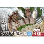 干物 新鮮ソフト干物セット おまかせ4種以上