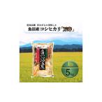 コシヒカリ 従来品種 魚沼産 5kg