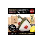 コシヒカリ 定期便 無洗米 魚沼産 5kg×12回