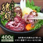 fu.... налог GB-01. мясо Momo 400g Tottori префектура большой гора блок 