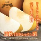 ふるさと納税 DS-08 王秋梨(5kg) 鳥取県大山町