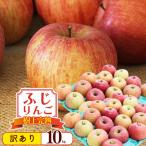 令和8年産 訳あり りんご 10kg